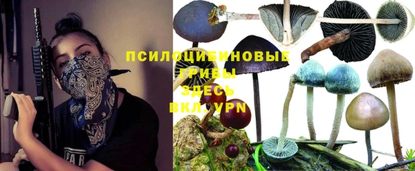 тгк Абдулино