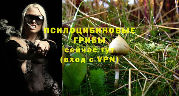 ПСИЛОЦИБИНОВЫЕ ГРИБЫ Абинск