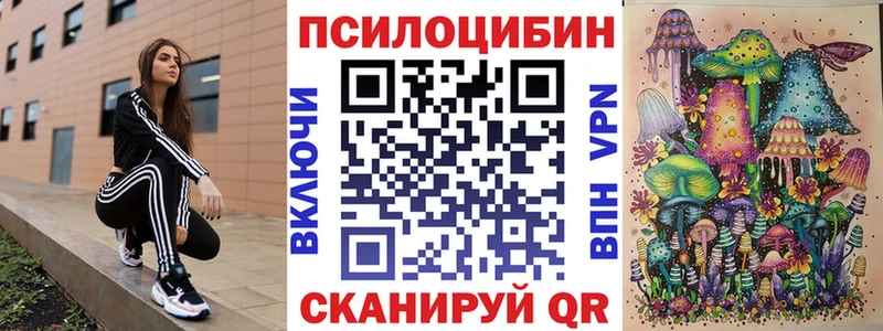Псилоцибиновые грибы GOLDEN TEACHER  блэк спрут ТОР  Абаза  продажа наркотиков 